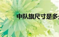 中队旗尺寸是多少（中队旗尺寸）