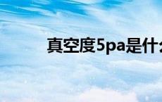 真空度5pa是什么意思（真空度）