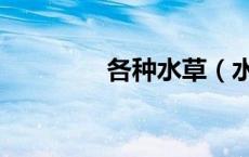 各种水草（水草种类大全）