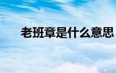 老班章是什么意思（老班是什么意思）
