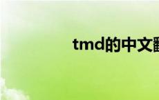 tmd的中文翻译（TMD）