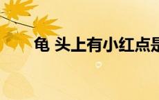 龟 头上有小红点是什么病（龟头子）