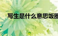 写生是什么意思饭圈（写生是什么意思）