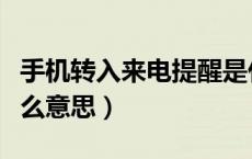 手机转入来电提醒是什么意思（来电提醒是什么意思）