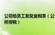 公司给员工发奖金税率（公司给员工发放奖金如何交纳个人所得税）