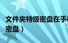 文件夹特级密盘在手机上打不开（文件夹特级密盘）