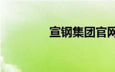 宣钢集团官网（宣钢集团）