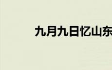 九月九日忆山东兄弟古诗的意思