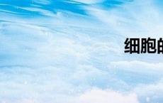 细胞的生活