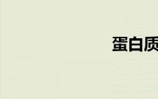 蛋白质的组成