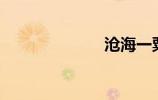 沧海一粟的意思
