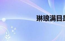 琳琅满目是什么意思