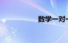 数学一对一辅导数学