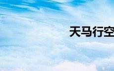 天马行空什么意思