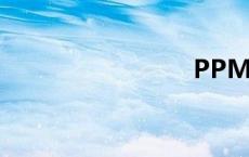 PPM 单位