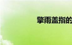 擎雨盖指的是什么意思