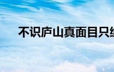 不识庐山真面目只缘身在此山中的意思