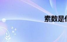 素数是什么意思
