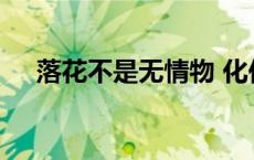 落花不是无情物 化作春泥更护花的意思
