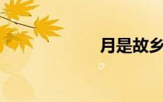 月是故乡明的意思