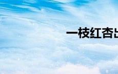 一枝红杏出墙来全诗