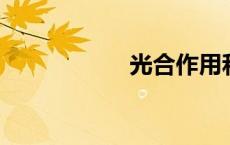 光合作用和呼吸作用
