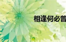 相逢何必曾相识前一句