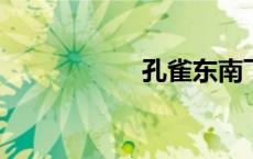 孔雀东南飞最早见于