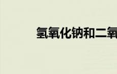 氢氧化钠和二氧化碳反应方程式