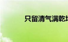 只留清气满乾坤描写的植物是