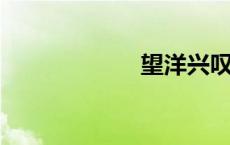 望洋兴叹的近义词