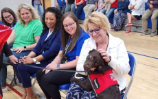 西费尔蒙特中学接收西弗吉尼亚州马里恩县的第一只治疗犬