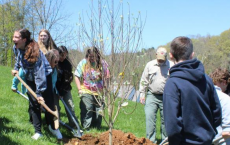 马里恩中学的学生帮助小镇庆祝植树节 地球日