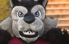 多森市学校推出新的 Wolfpack 品牌