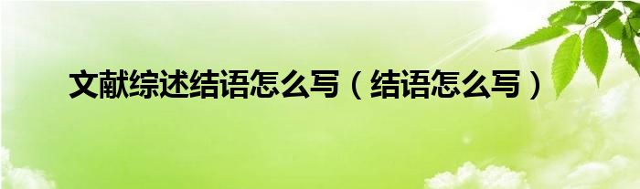 文献综述结论写什么（文献综述的结尾怎么写）